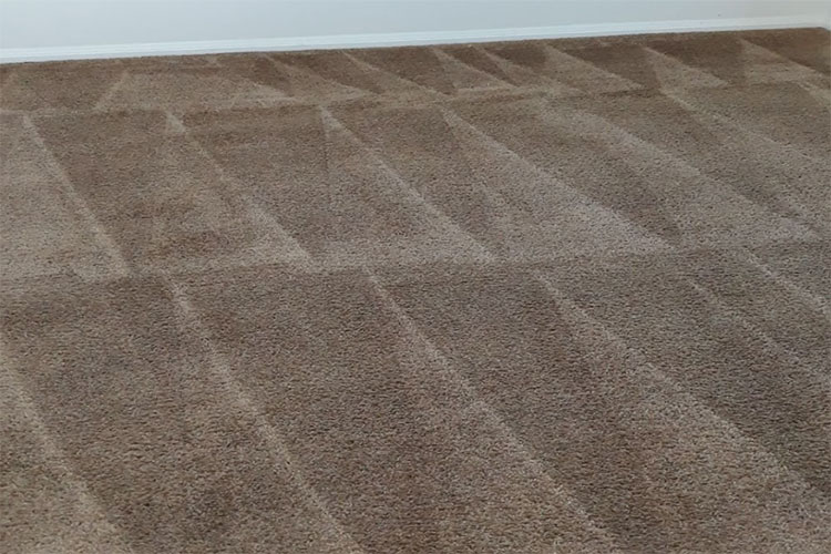 A Super Scrub Carpet Cleaning Contractor Service Payne County, OK